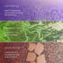 Refreshing Lavender & Rosemary Body Bar - 4.41 oz for Calming Comfort & Ultra Moisturized Skin