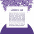 Schmidt's Aluminum-Free Vegan Deodorant: Lavender & Sage, 2 Count, Natural Ingredients, 2.65 oz