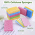 15 Pcs Cellulose Sponges, 5 Colors Non-Scratch Colorful Biodegradable Sponges for Kitchen, Bathroom, Cars, DIY