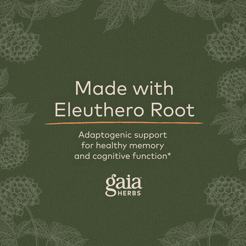 Gaia Herbs Mental Alertness - Brain Support Supplement with Eleuthero, Ginkgo, Gotu Kola & More - 60 Vegan Caps