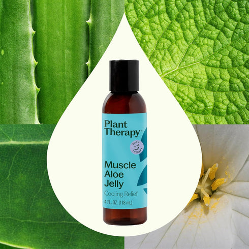 Plant Therapy Muscle Aloe Jelly 4 oz Aromatherapy Jelly, All Natural