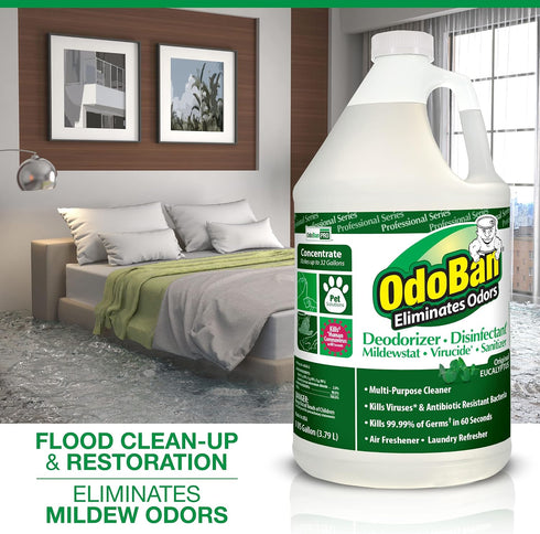 OdoBan Professional Disinfectant and Odor Eliminator Concentrate, 1 Gallon, Original Eucalyptus Scent