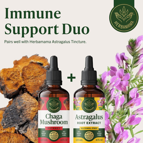 Immune Immunity 84-Day HERBAMAMA Chaga Mushroom Tincture - Vegan Support & Defense with Chaga Mushroom Extract Drops