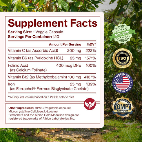 Iron Supplement for Women & Men, Natural Ferrous Chelate, 25mg + Vitamin C, B6, B12, Folic Acid - 120 Count