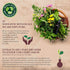 Immune 15 ml Lime Essential Oil Massage Oil and Fragrance Oil Support, Antioxidants for Healthy Aging