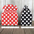 Outside the Box Papers MINI Gable Favor Boxes, Ladybug Theme, Red Black and White, 24 Count