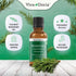 Viva Doria 100% Pure Moroccan Rosemary Essential Oil, Undiluted, Food Grade, 30 mL (1 Fluid Ounce)
