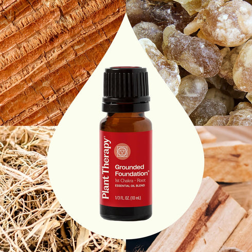 Plant Therapy Chakra 1 Grounded Foundation Essential Oil Blend, Root Chakra, 10 mL (1/3 oz) 100% Pure, Therapeutic Grade