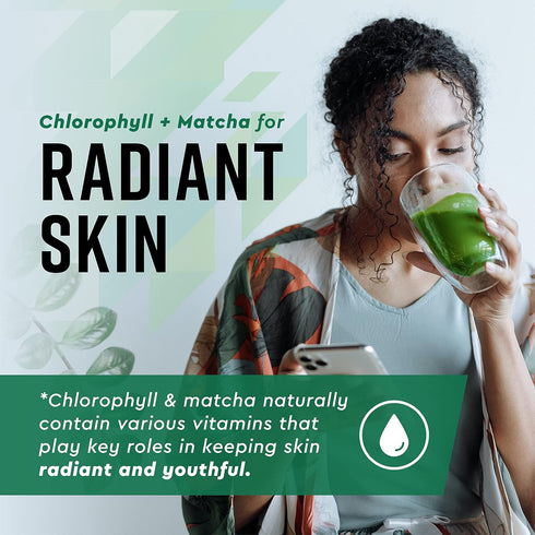 360 Nutrition Matcha Chlorophyll Liquid Drops - Gluten Free & Vegan Supplement for Gut Health, 60 Servings