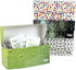 Flents Wipe N Clear Lens Wipes, 25 Count, Assorted Box Patterns, Portable Cleaning Cloths for Glasses, Streak-Free