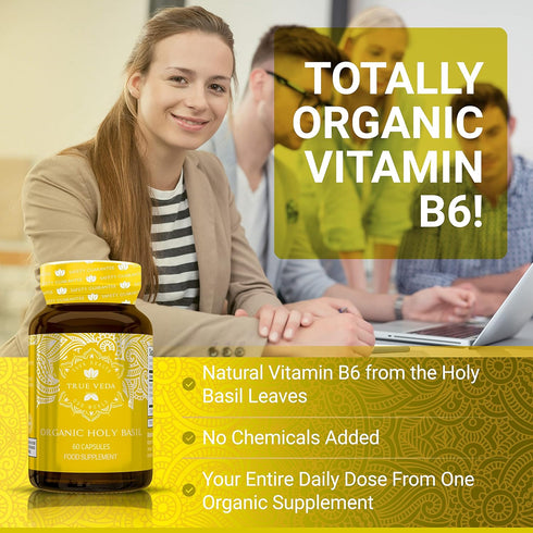 Holy Basil Capsules - USDA Organic Vitamin B6 Capsules | High Strength Vitamin B6 and 2.5% Ursolic Acid | 60 Vegan Pills