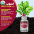 Organic Beet Root Powder Tablets, 2040mg Natural Nitric Oxide Beets, Energy Support, 90 Tablets