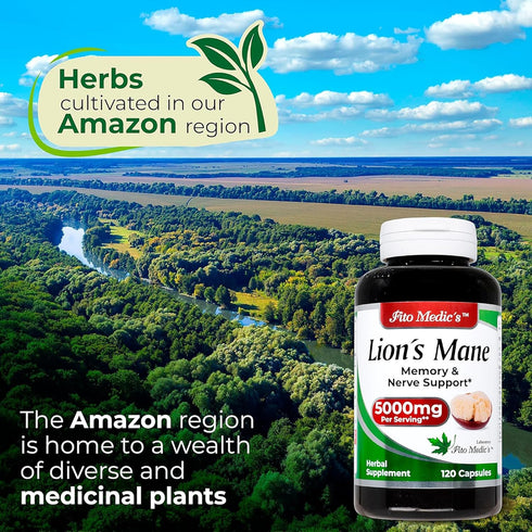 Lab Lions Mane | 120 Capsules - Ultra High Absorption Mushroom Supplement