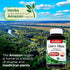 Lab Lions Mane | 120 Capsules - Ultra High Absorption Mushroom Supplement