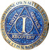 1 Year AA Medallion Reflex Blue Glitter Gold Plated Color Chip for Collectors