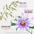 WishGarden Herbs Natural Herbal Stress Release for Pregnancy, 2oz, with Lemon Balm & Chamomile, Adrenal Support