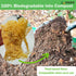 Natural Loofah Kitchen Sponge, 6 Pcs, 100% Plant Fibers Vegetable Scrubber, Eco Friendly