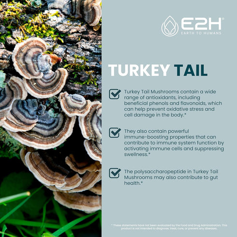 Immune 2 Oz E2H Turkey Tail Mushroom Extract - Faster Absorption Than Turkey Tail Mushroom Capsules or Powder