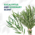 Truremedy Naturals Eucalyptus + Rosemary Body Wash, 12 oz