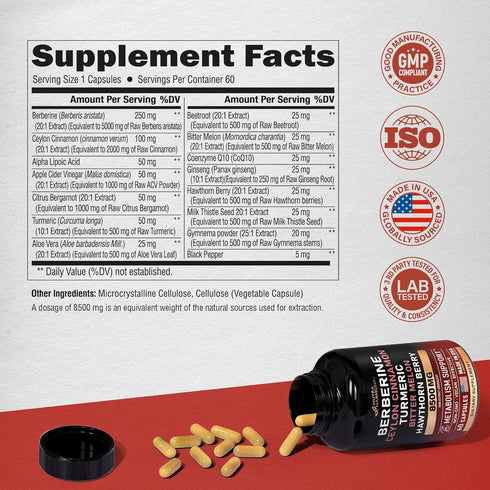 Berberine with Ceylon Cinnamon 10000 mg with Apple Cider Vinegar | Hawthorn Berry | Citrus Bergamot | Bitter Melon - 15-in-1 Supplement for Heart Support, Metabolism & Energy - Vegan, 60 Capsules