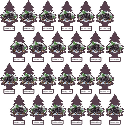 LITTLE TREES Car Air Freshener | Blackberry Clove Hanging Paper Tree for Home or Car | Pack of 24