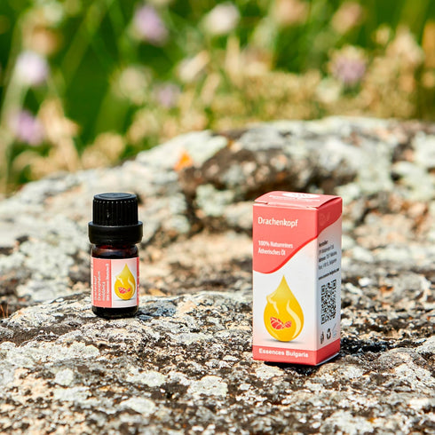 Essences Bulgaria Moldavian Dragonhead Essential Oil, 1/3 Fl Oz | 10ml, 100% Pure & Natural