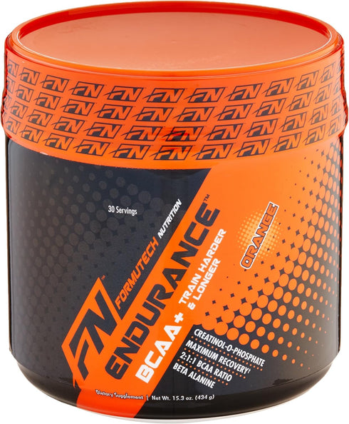 Endurance BCAA Plus - Designed for Training Harder with Beta Alanine - Orange, 434 Gram