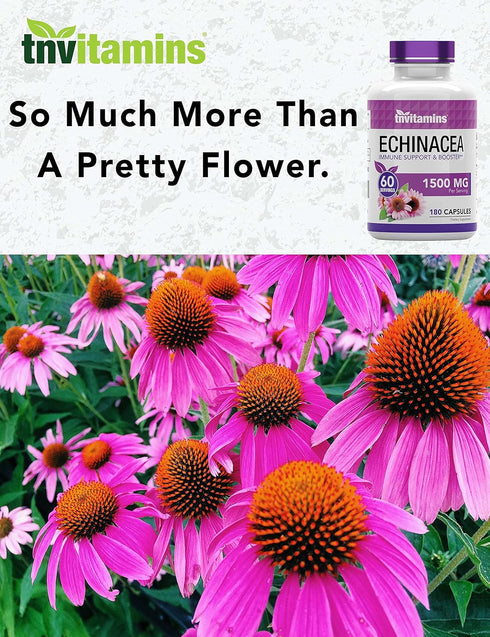 Echinacea Capsules, 1500 mg Per Serving, 180 Capsules, Herbal Extract Supplement, USA Made