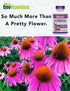 Echinacea Capsules, 1500 mg Per Serving, 180 Capsules, Herbal Extract Supplement, USA Made