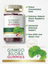 Carlyle Ginkgo Biloba 300mg | 70 Gummies | 45:1 Leaf Extract with Peach Raspberry Flavor | Vegan, Non-GMO, Gluten Free