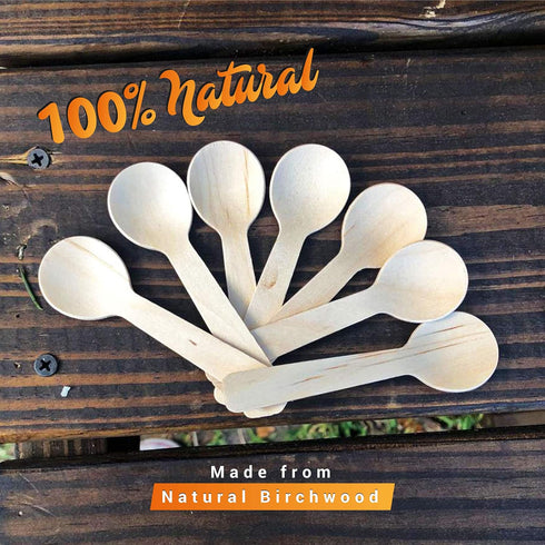 300 Pack of 3.9 inch Disposable Small Wooden Spoons, Biodegradable Mini Sample Spoons