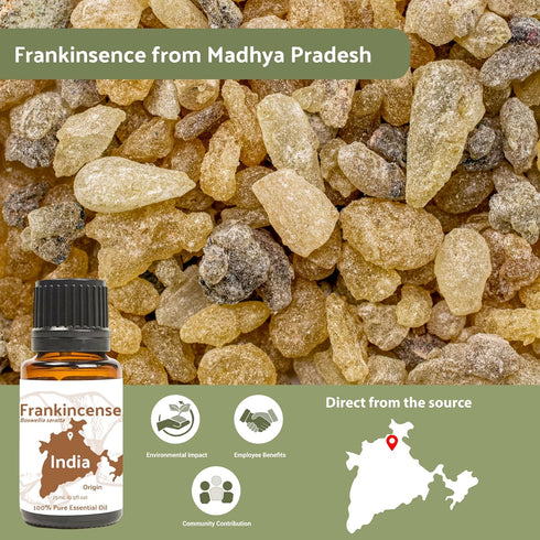 Frankincense Essential Oil, Pure Essential Oil for Diffusers and Aromatherapy, 100% Therapeutic Grade (15ml)