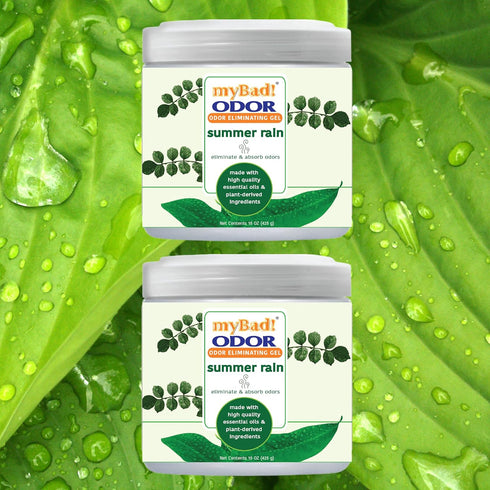 Odor Eliminator Essential Oil Gel 15 oz - Air Freshener for Bathroom, Pet Area, Closets, RVs, 2 Pack (Summer Rain)