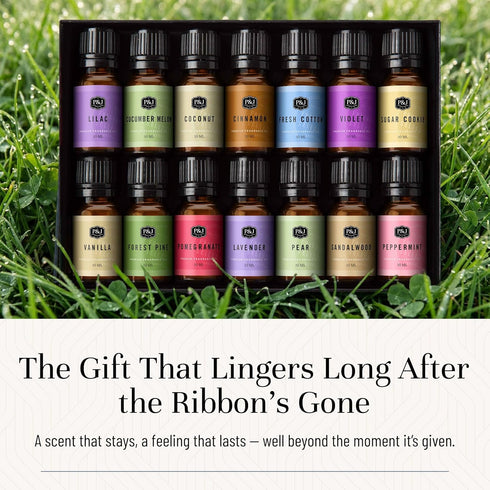 Set P&J Trading Fragrance Oil Favorite | Candle Scents for Candle Making, Freshie Scents, Soap Making Supplies