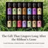 Set P&J Trading Fragrance Oil Favorite | Candle Scents for Candle Making, Freshie Scents, Soap Making Supplies