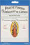 Guadalupano Porous Capsicum Medicated Pain Relieving Plaster | 4.5" X 7"