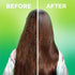 Garnier Fructis 10-in-1 Sleek & Shine for Frizzy, Dry Hair, Plant Keratin, 8.1 Fl Oz