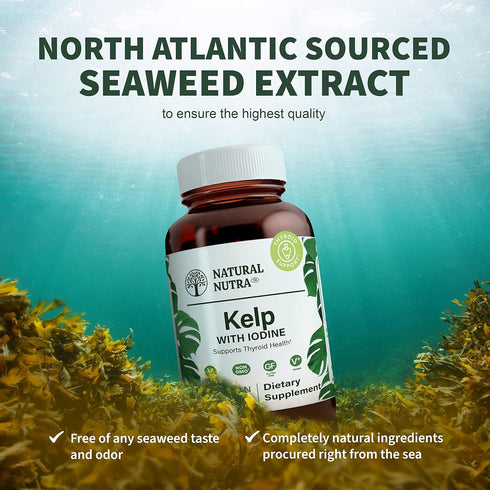 Natural Nutra Kelp Iodine Supplement, 225 mcg, 100 Tablets, Vegan Sea Kelp for Brain Health & Immune Support