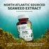 Natural Nutra Kelp Iodine Supplement, 225 mcg, 100 Tablets, Vegan Sea Kelp for Brain Health & Immune Support