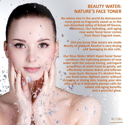 Shea Terra Organics Beauty Water, Toner & Face Mist, 4 oz, Damask Rose HIPS & Hazel, Natural Hydrating