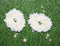 Shilppam White Gajra Hair Band for Women & Girls (Pack of 2), Traditional Floral Hair Jewelry for Weddings and Festivals