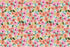 Jillson Roberts 24 Sheet-Count Premium Printed Tissue Paper Available in 8 Different Floral Designs, Gypsy Floral