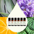 Set 6 10 mL (1/3 oz) 100% Plant Therapy Breathe Easy Essential Oil of Bottles Each, Lavender, Eucalyptus, Peppermint