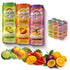 High Ground Elixir Mushroom Seltzer Variety Pack | Lions Mane for Focus,