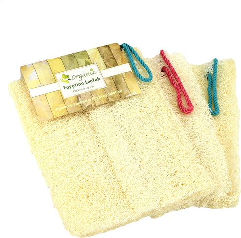 Egyptian Loofah Sponges - Natural Exfoliating Body Wash Gourd, Bath Sponges for Skincare (Pack of 3-6.5 in.)