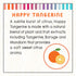 Little Twig Shampoo, Natural Plant Derived Formula, Tangerine, 8.5 fl oz