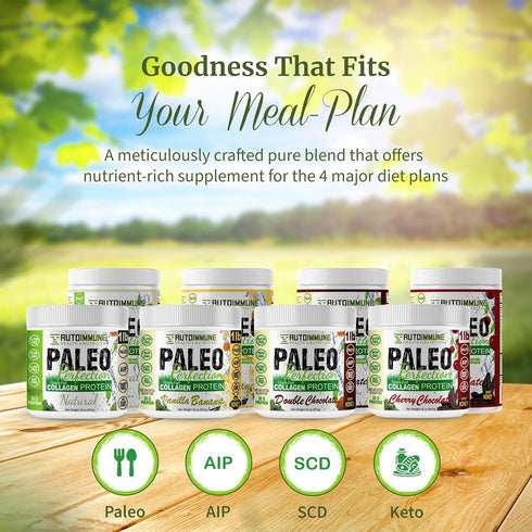 Paleo Perfection Natural Grass Fed Beef Collagen Protein Powder - 300g for Men & Women w/ Apple Fiber, Carrot, Broccoli