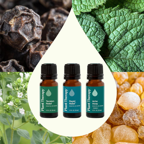 Set 10 mL (1/3 oz) Plant Therapy Pain Support Essential Oil Blend Each of Ache Away, Rapid Relief & Tension Relief