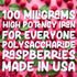 Llorens Liquid Iron Supplement, 100mg Polysaccharide Iron Complex, 6 oz - High Potency for Women & Adults, Raspberry