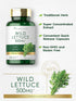 Carlyle Wild Lettuce Extract 500mg | 200 Capsules | Non-GMO, Gluten Free